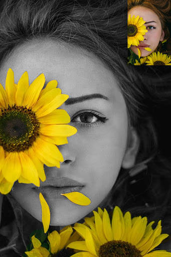 Color Splash Photo Effect screenshot 3