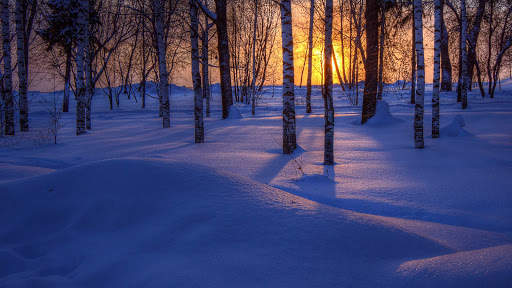 Winter Wallpapers : backgrounds hd screenshot 9