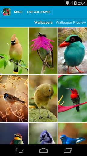 Beautiful Birds Live Wallpaper screenshot 2