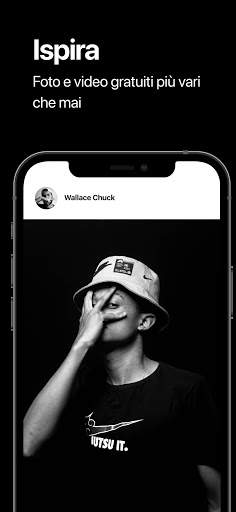 Pexels screenshot 2