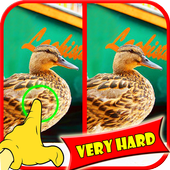 Find Difference Game Duck icon