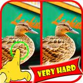Find Difference Game Duck 1.2.0