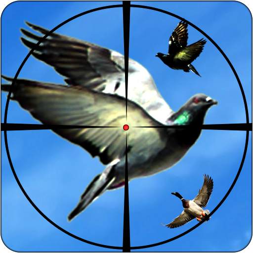 Flying Bird Hunting Games 2.2