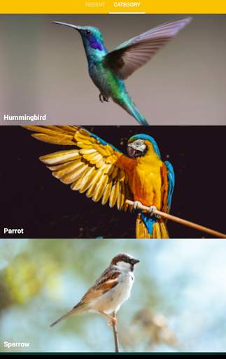Cool Bird Wallpaper screenshot 6