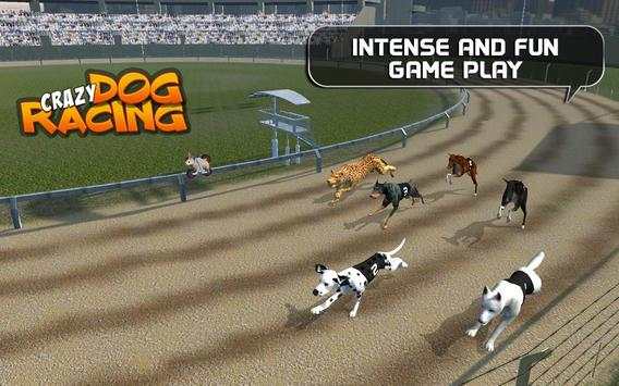 Crazy Dog Racing 7 تصوير الشاشة