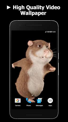 Hamster Video Live Wallpaper screenshot 1
