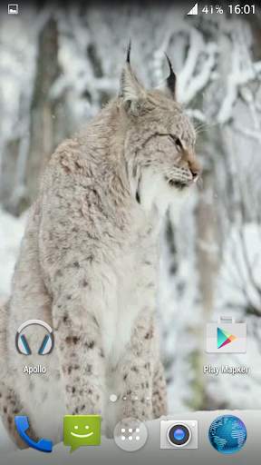 Lynx. Video Wallpaper स्क्रीनशॉट 5