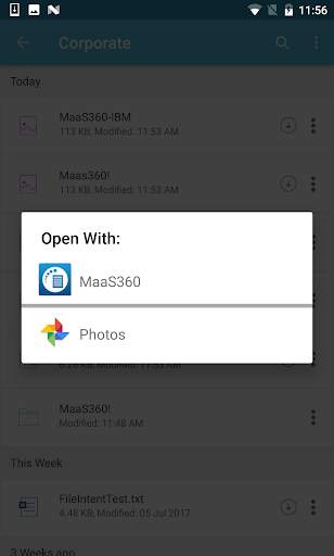 MaaS360 Docs screenshot 3