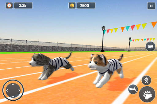 Cat Simulator Game 2020 :Kitty Running screenshot 16