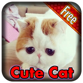 Cute Cat icon