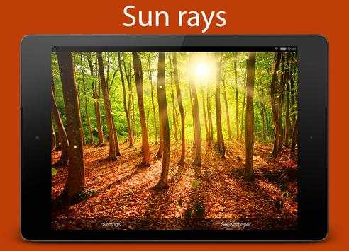 Forest Live Wallpaper screenshot 10