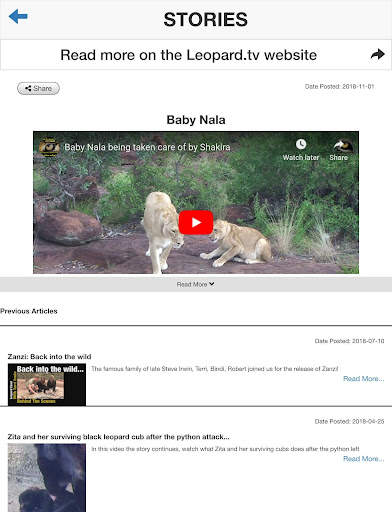 Leopard.tv Wildlife Magazine screenshot 2