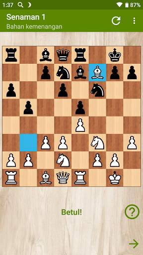 Catur - Pembukaan Ruy Lopez screenshot 4