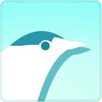 Feathered Journeys on 9Apps