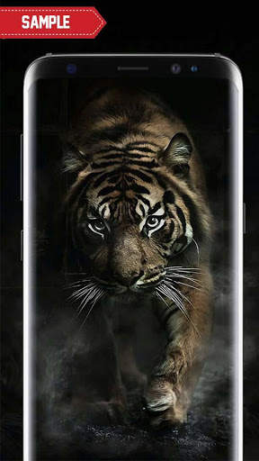 Black Wallpapers Live HD screenshot 2
