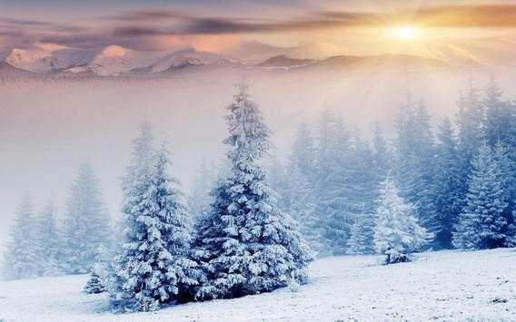 Snow Wallpapers screenshot 7