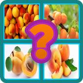 Name The Fruit - Kids Funny Game 3.2.5z