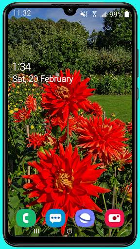 100 Garden Wallpaper HD screenshot 13
