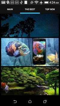 Stream HD Video Wallpaper screenshot 6
