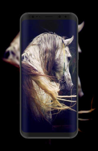 Horse Wallpaper HD Offline screenshot 7