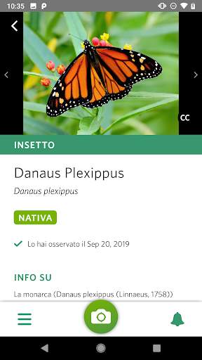 Seek di iNaturalist screenshot 2