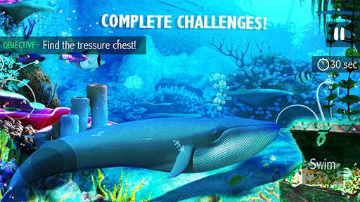 Blue Whale Simulator - Game screenshot 1