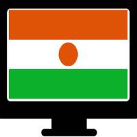 NIGER TV logo