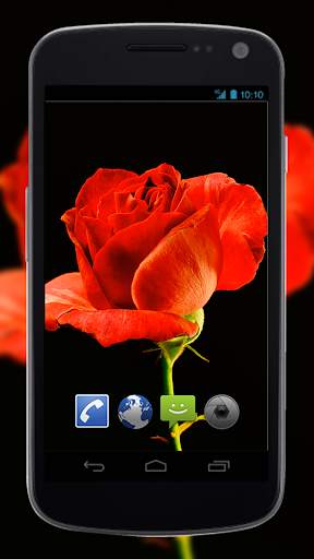 4K Red Rose Video Live Wallpaper screenshot 2