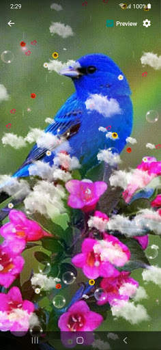 Bird Live Wallpaper screenshot 2