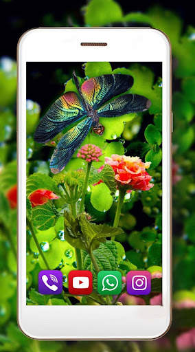 Dragonfly Live Wallpaper screenshot 6