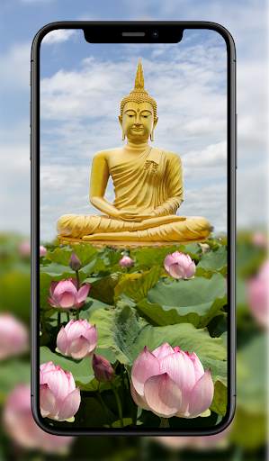 Buddha Wallpapers screenshot 7