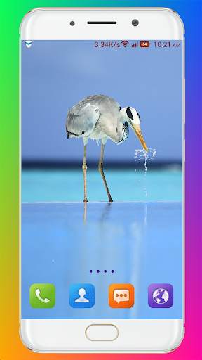 Bird Wallpaper HD screenshot 3