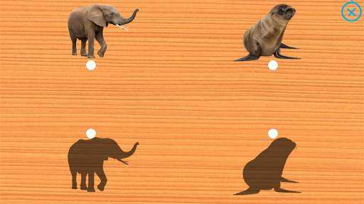 Animals for Kids - Flashcards, Puzzles & Sounds screenshot 16
