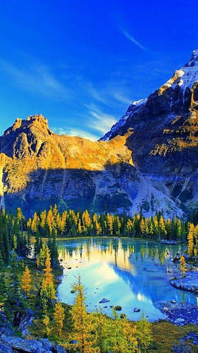 Beautiful Place Wallpaper screenshot 4