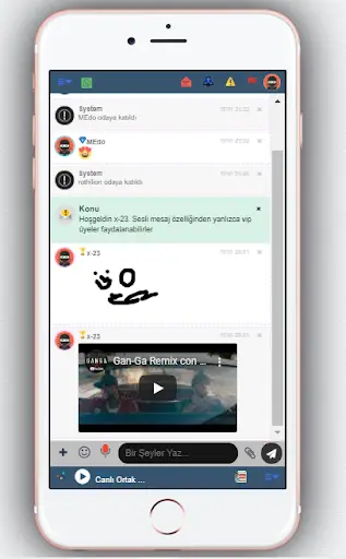 chat screenshot 3