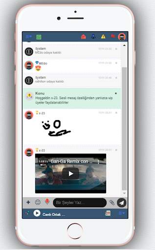 chat screenshot 3