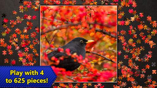 Jigsaw Puzzles Epic 5 تصوير الشاشة