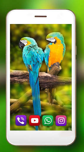 Tropic Parrot Live Wallpaper screenshot 2