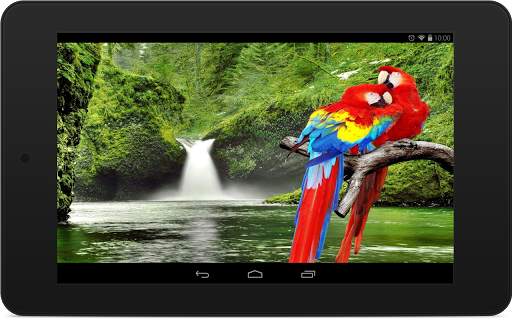 Parrot Wallpapers screenshot 6