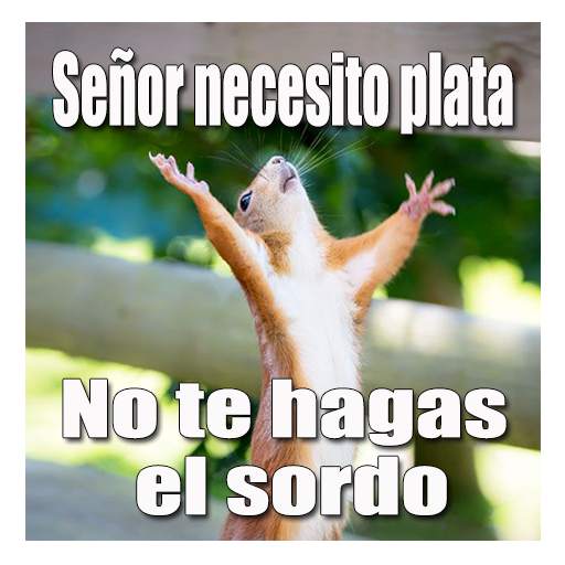 Imagenes chistosas 1.9