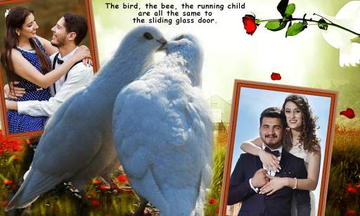 Love Birds Dual Photo Frame screenshot 1