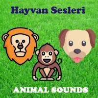 Animal Sounds