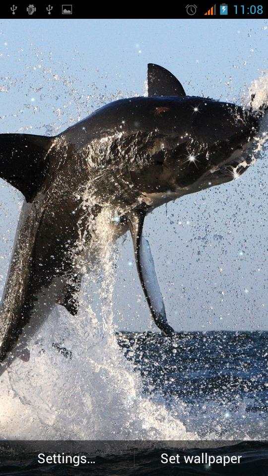 Shark Live Wallpaper скриншот 3