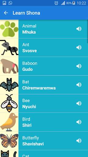 Learn Shona screenshot 3