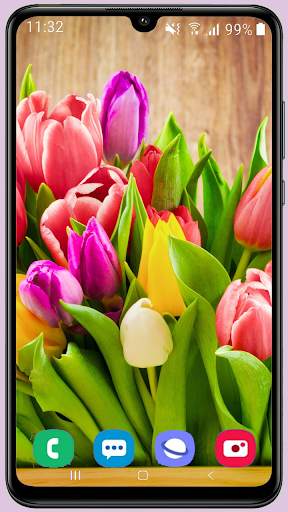 Tulips Wallpaper Best HD screenshot 4