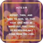 Daily Bible Reading 1.3