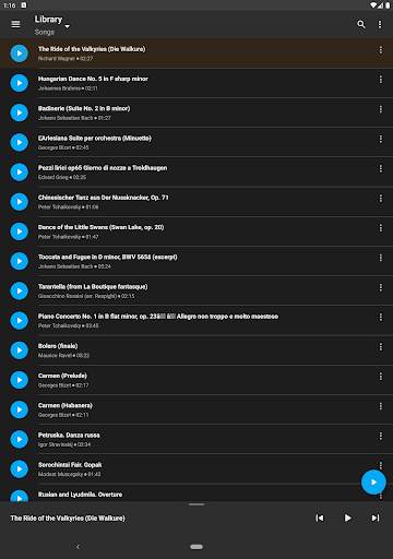 Simple Music Player screenshot 18
