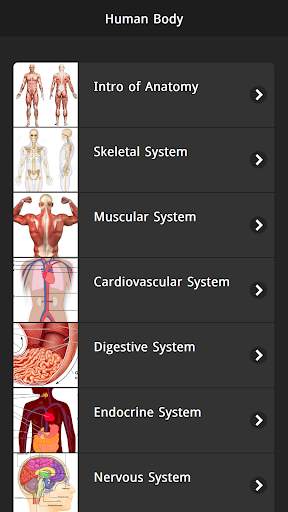Human Body Free Offline screenshot 1