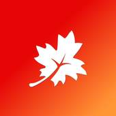 Maple 1.1.12
