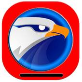 eagleget Video Downloader 1.1